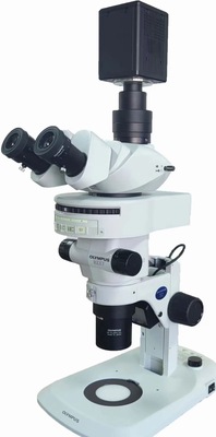 MZX81体式荧光显微镜