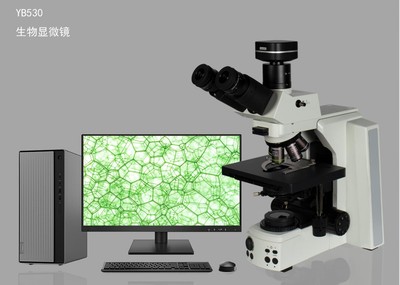 正置显微镜YB530