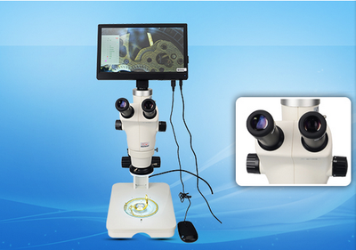 HSZ300 反光镜可调式底座体视显微镜