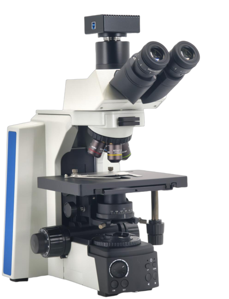 SC43